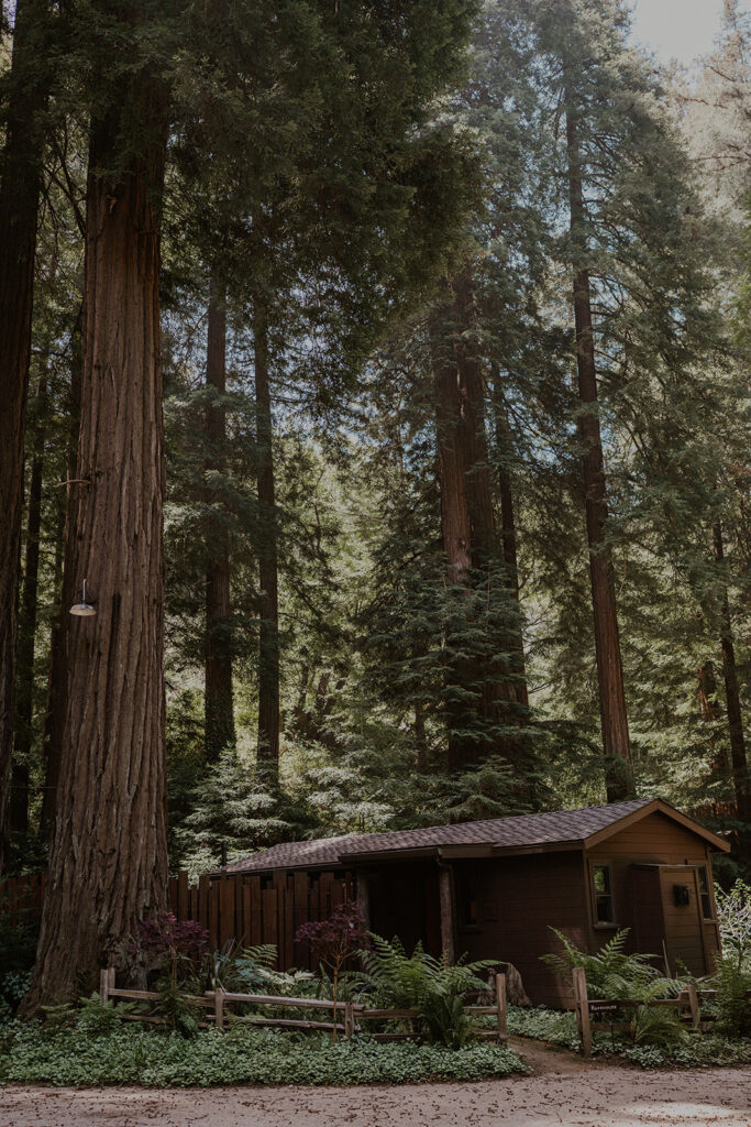 Glen Oaks in Big Sur, California