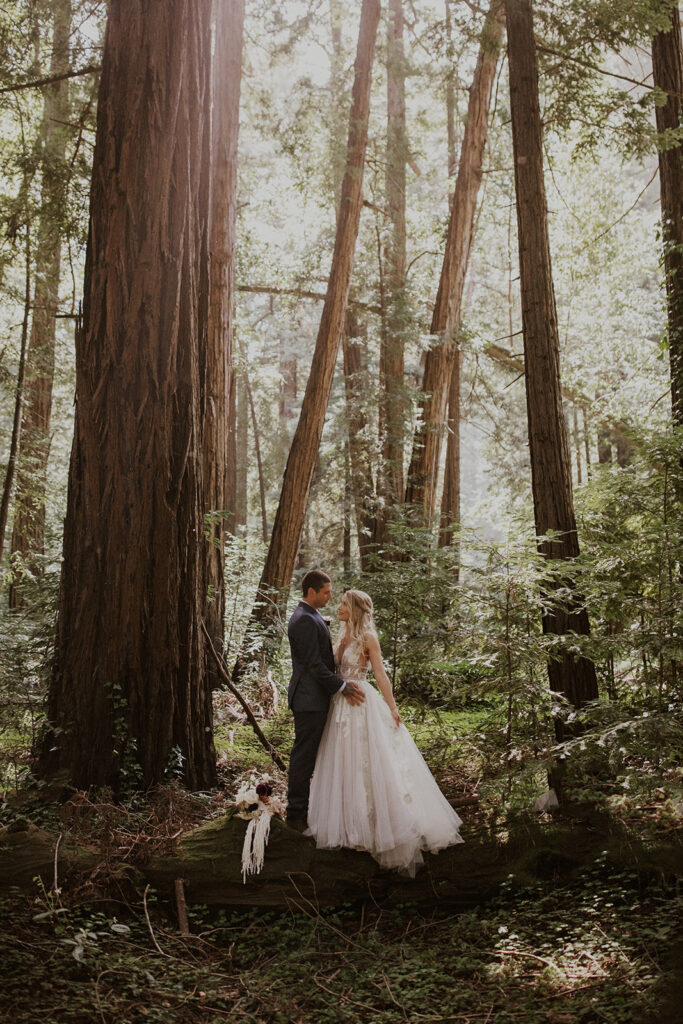 Bride and groom posing on a log in the California redwoods