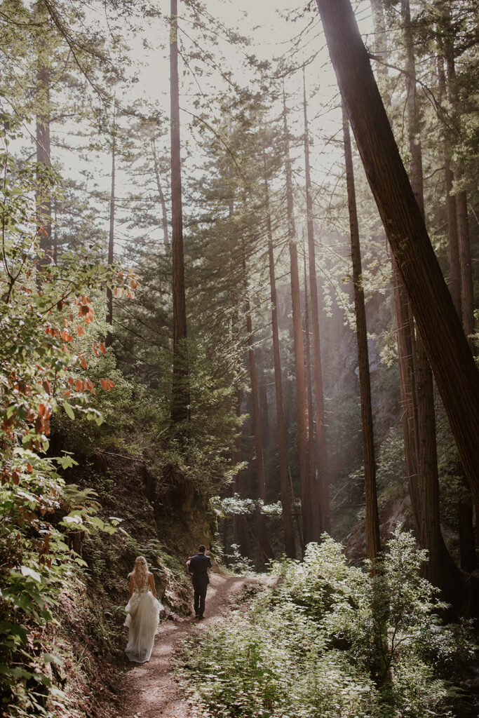 Bride and groom walking a trail through the California redwoods