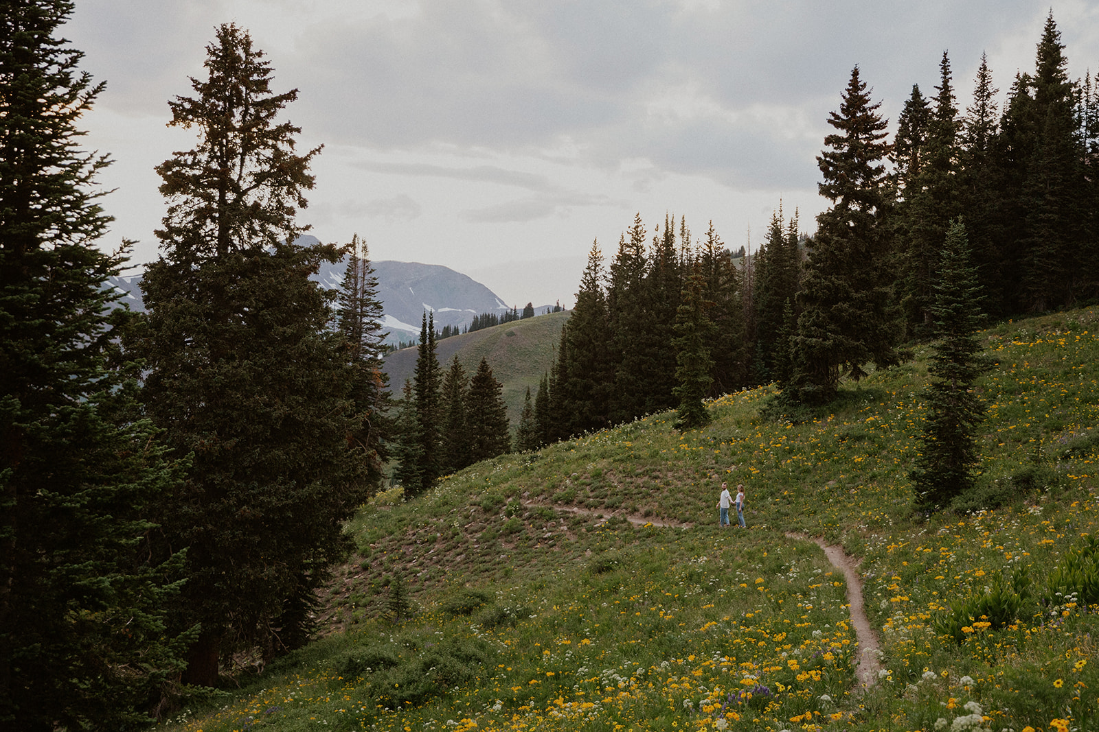 Far away shot of a couple walking the wildflower trails in Crested Butte