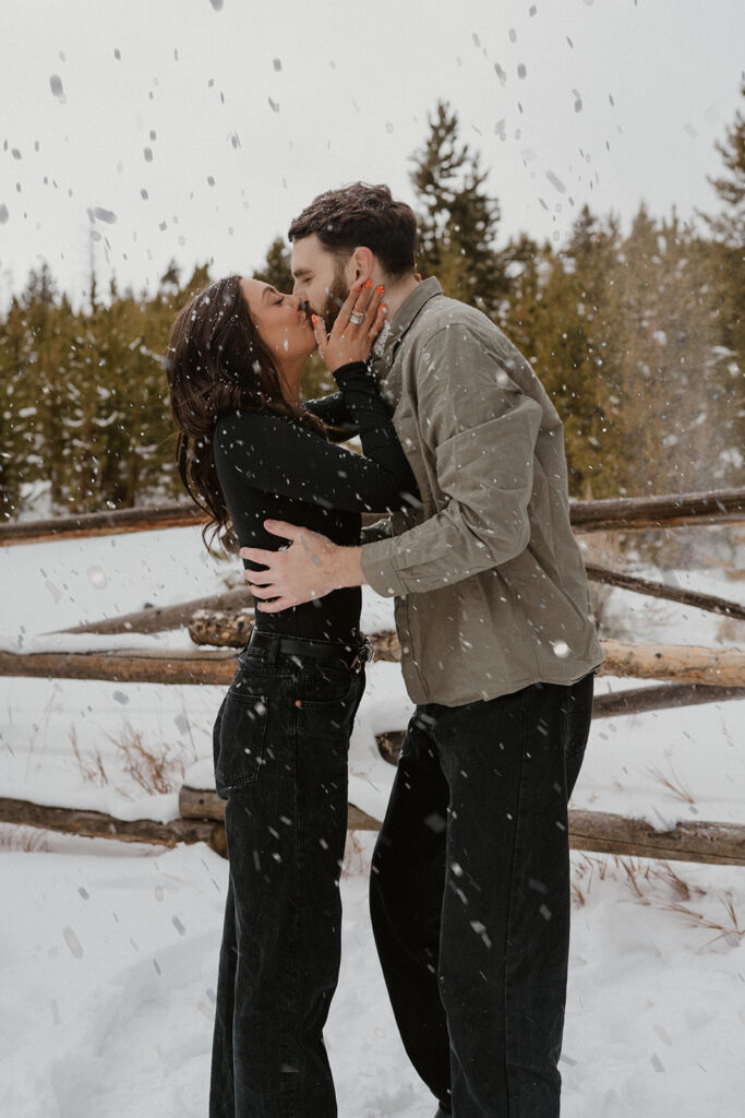 A Snowy Sapphire Point Overlook Proposal