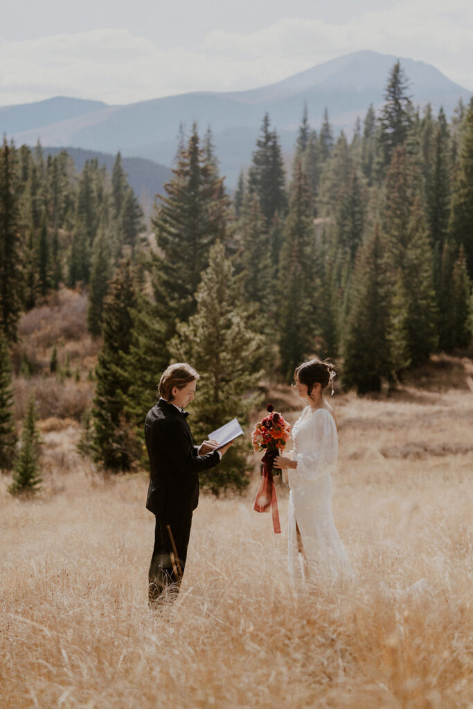 Breckenridge elopement on Boreas Pass