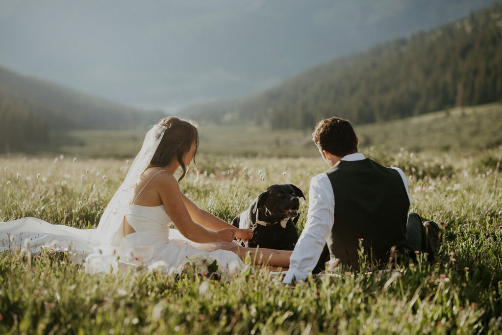 Colorado elopement photos with dogs