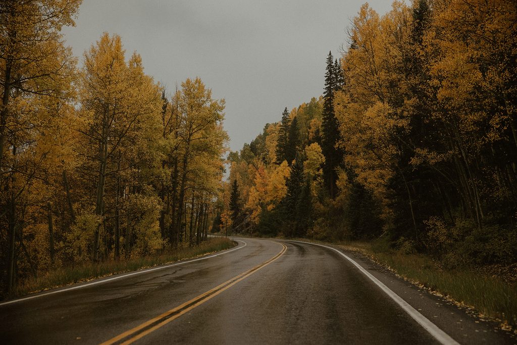 A wet and rainy street lined with fall trees in Telluride, Colorado