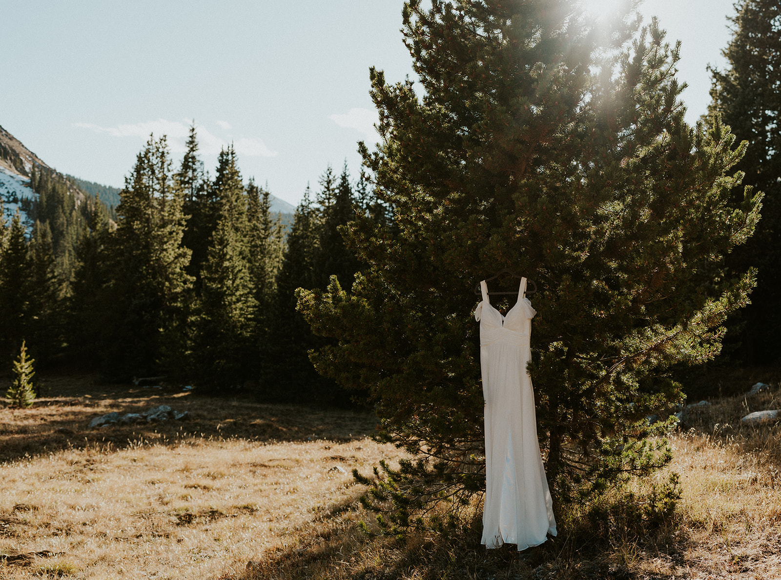 A wedding dress hanging in a fur tree during a Colorado Helicopter Wedding