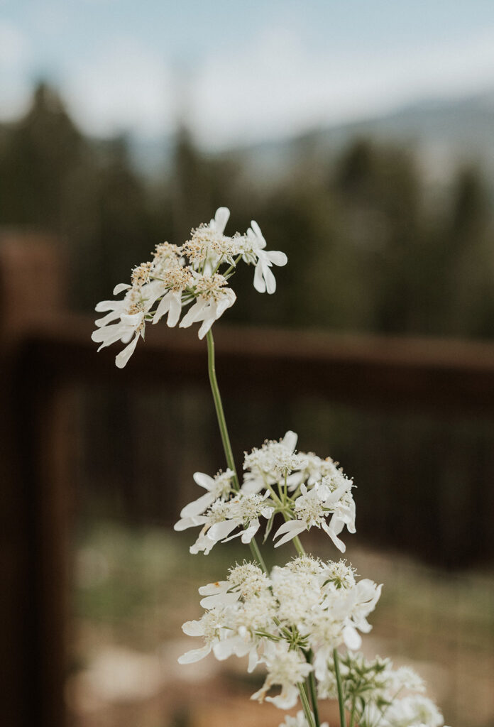 White elopement reception florals