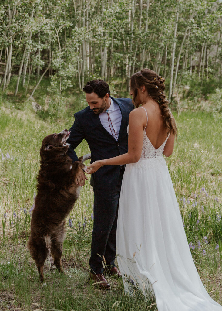 Bride groom and their dog sharing a first look