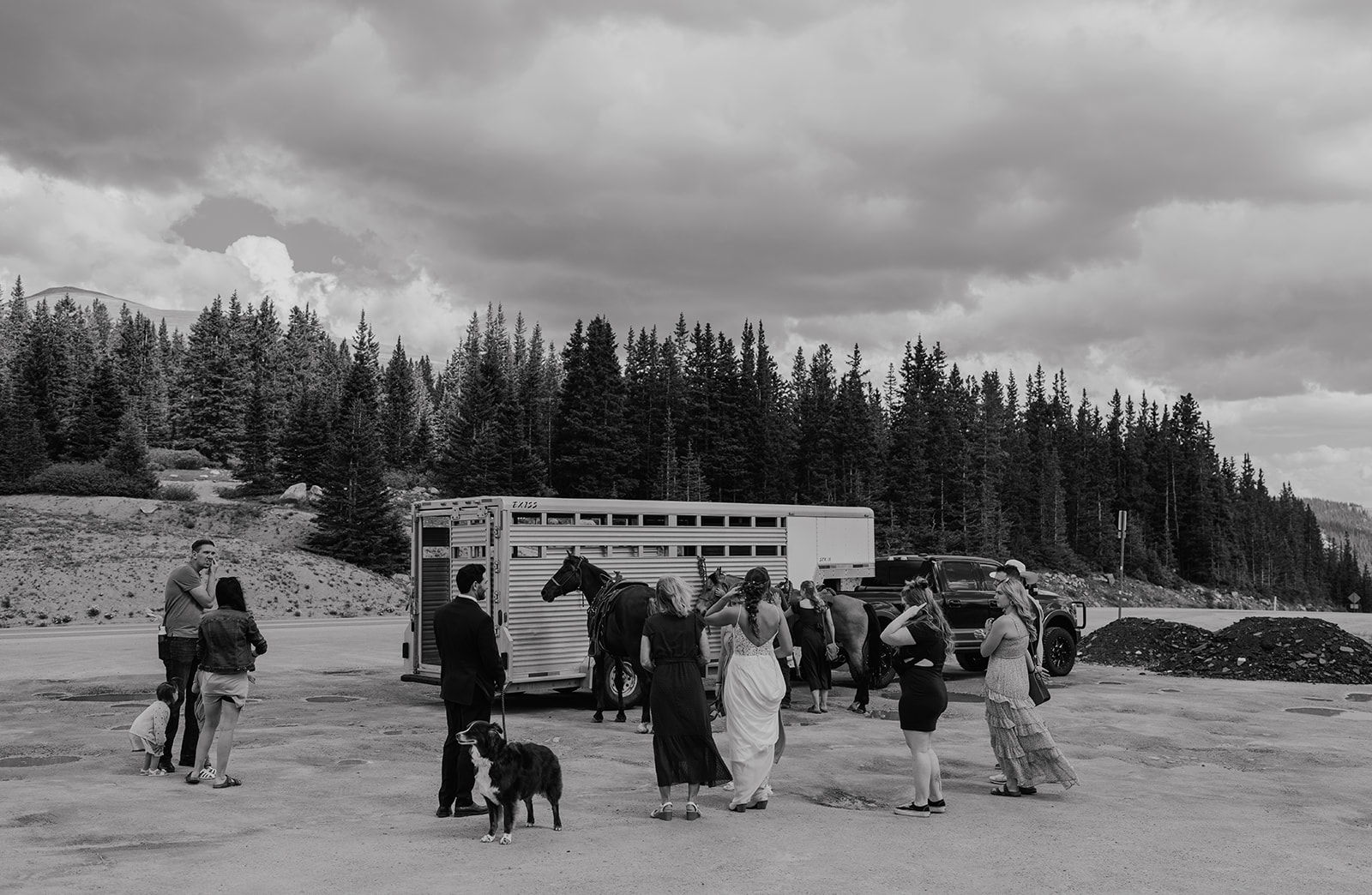 Black and white photo of a bride and groom with their family horses