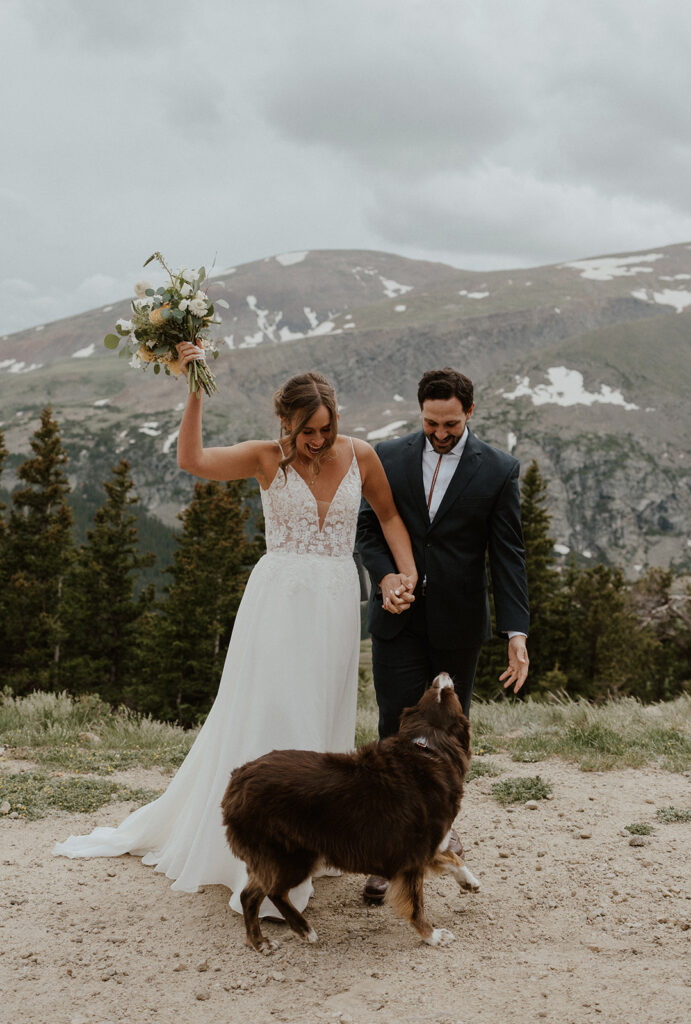 Bride, groom, and their dog during their Hoosier Pass elopement in Colorado