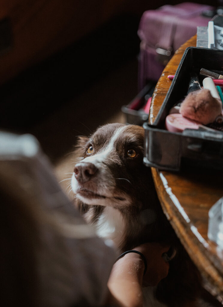 Bride getting ready with her dog