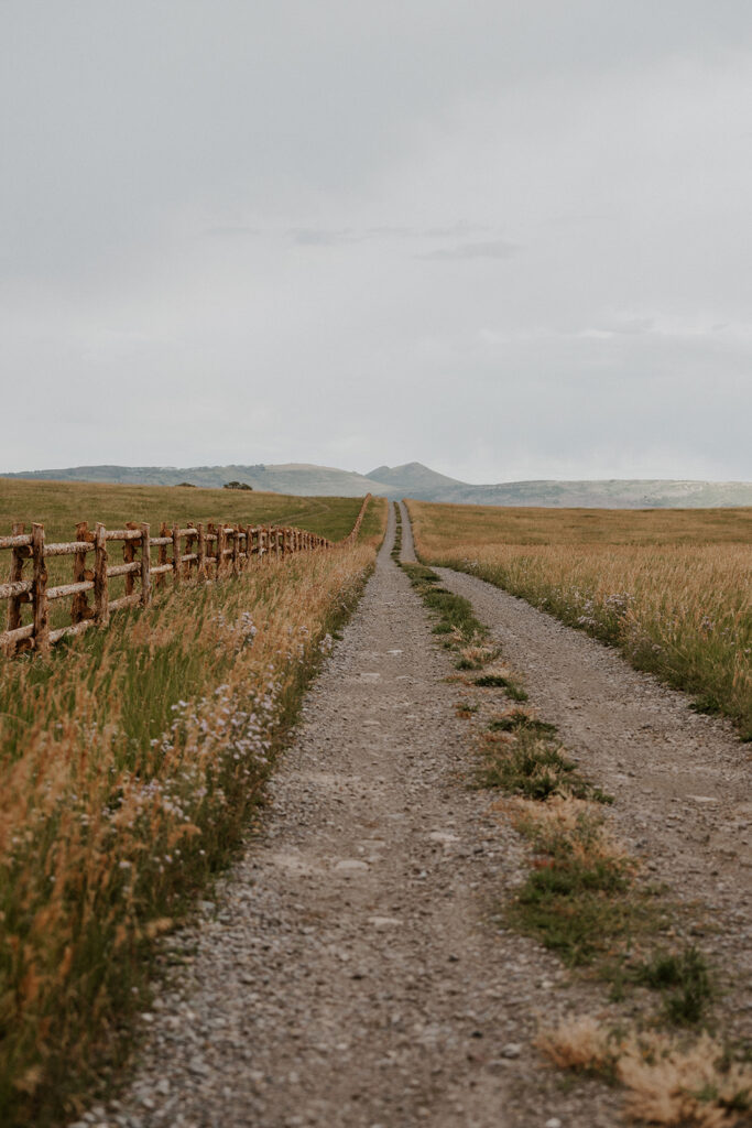 Last Dollar Road in Telluride, Colorado