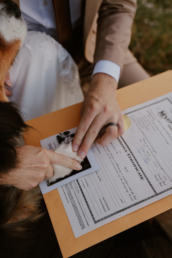 Bride and groom getting their marriage certificate signed with their dogs paw print in Telluride, Colorado