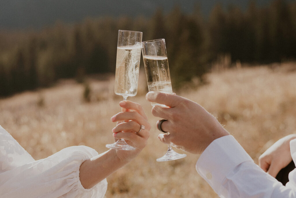 Bride and groom toasting champagne during their elopement picnic in the mountains